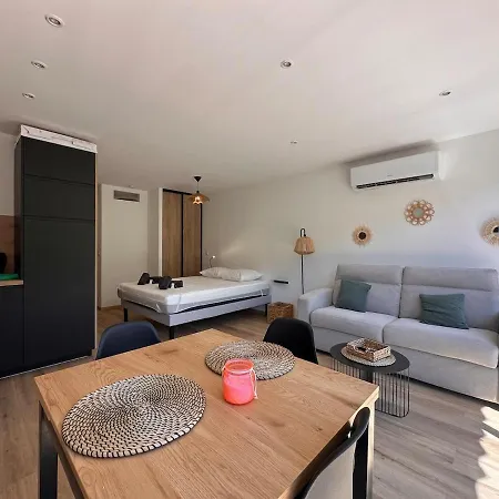 Climatise Avec Cour Et Parking Apartament